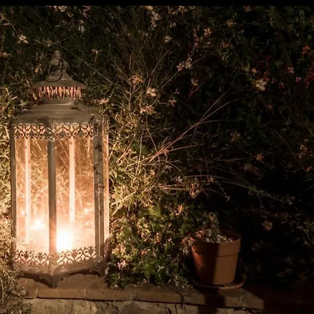 בית נופש Charming House In With Shared Pool *